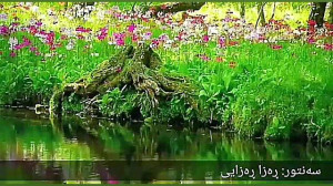 کمال پرویزی