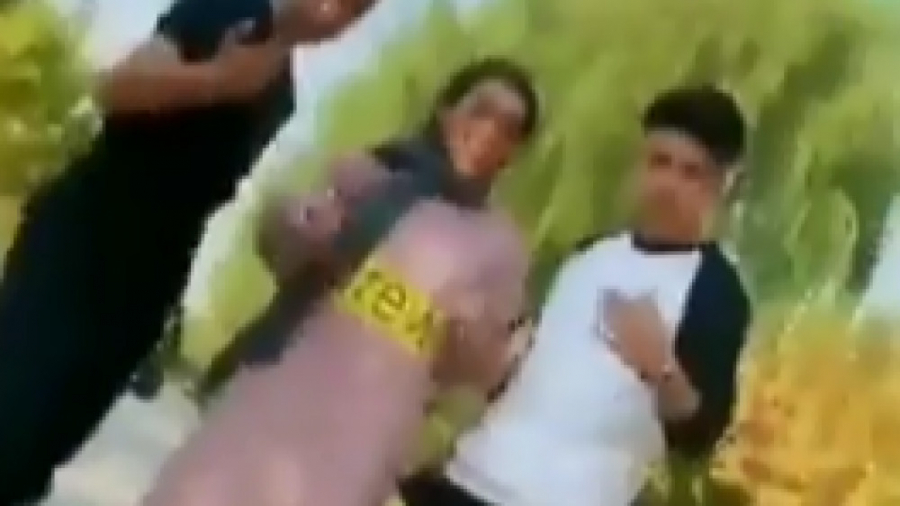 شکیب و مبین و المیرا