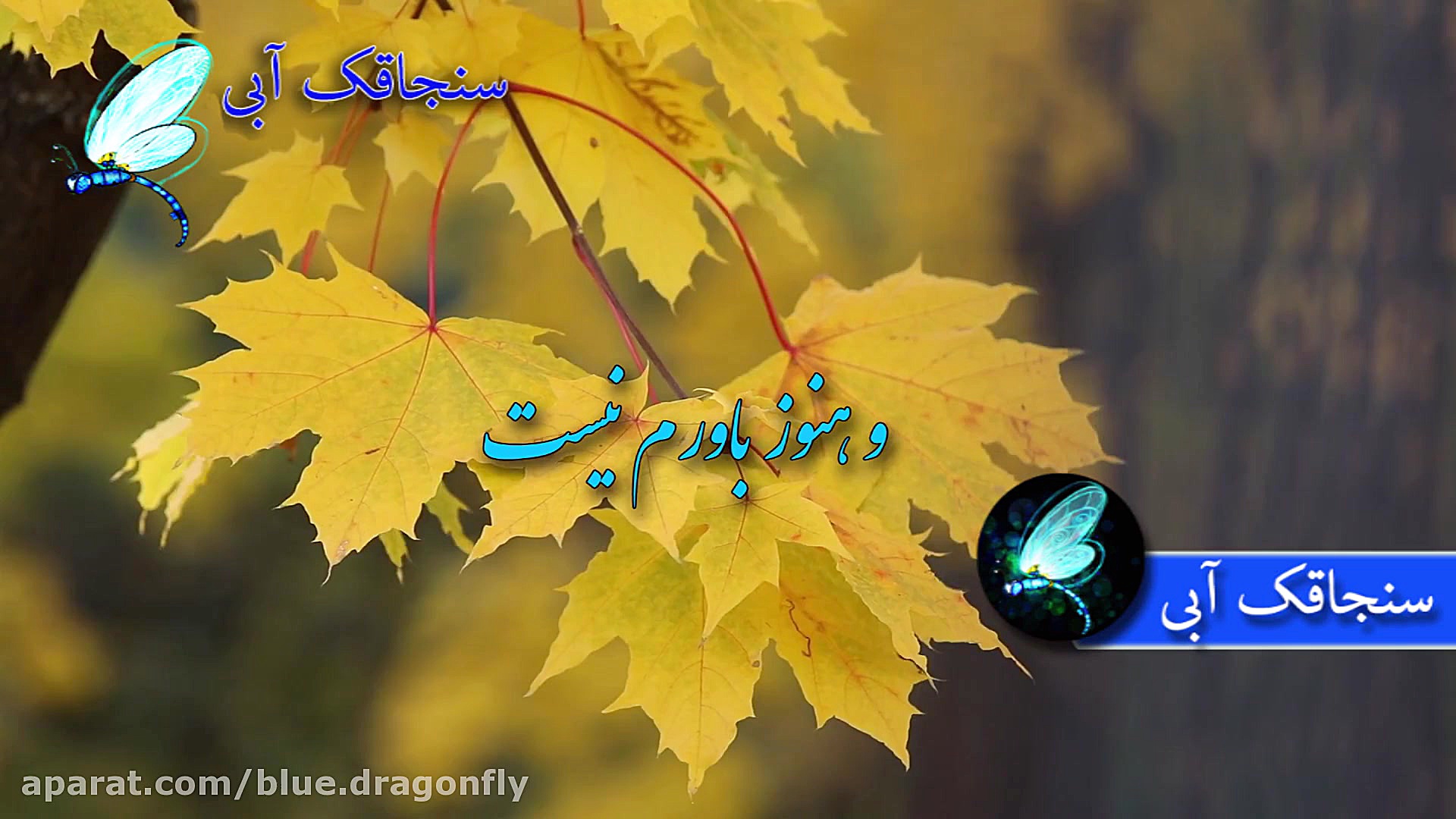 کلیپ تسلیت درگذشت مسافران پروا...