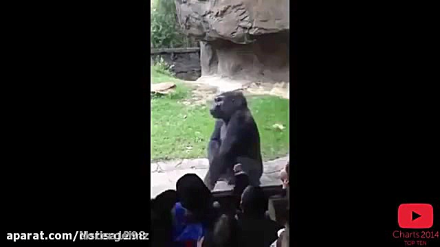 باهال ترین وخنده دار ترین فیلم...