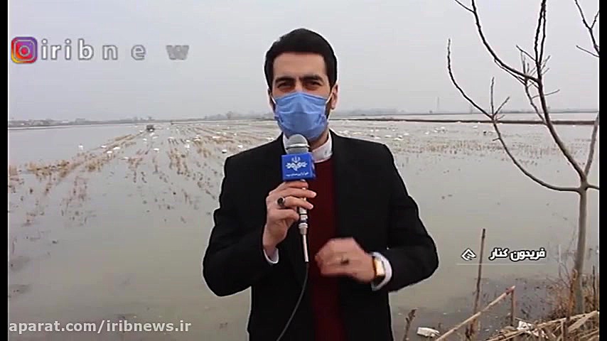 گردشگران زمستانه بر فراز تالاب...