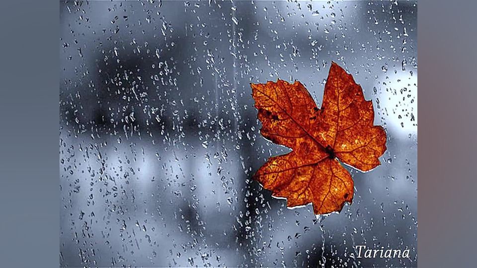 فوتو کلیپ کاشکی