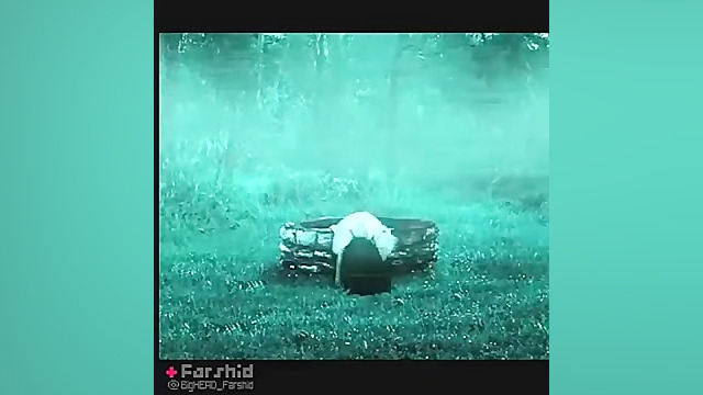 هدف نهایی تمامی فیلمهای ترسناک