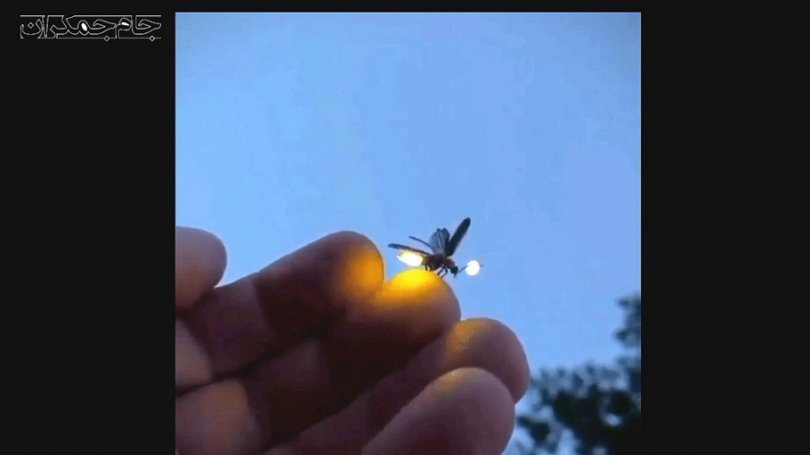 کلیپ کوتاه عاشقانه درباره خدا