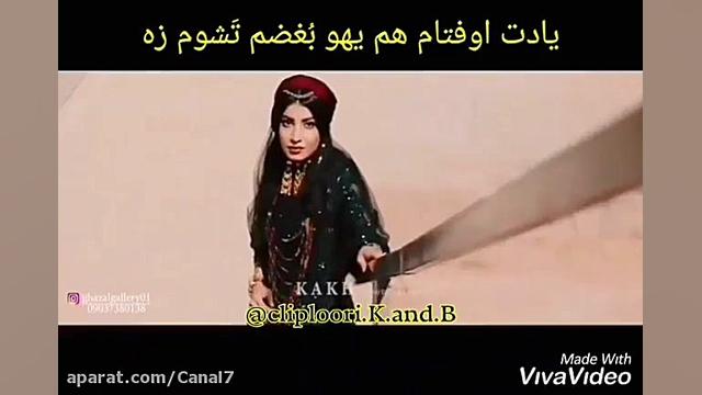 کلیپ لری فوق العاده احساسی  جا...