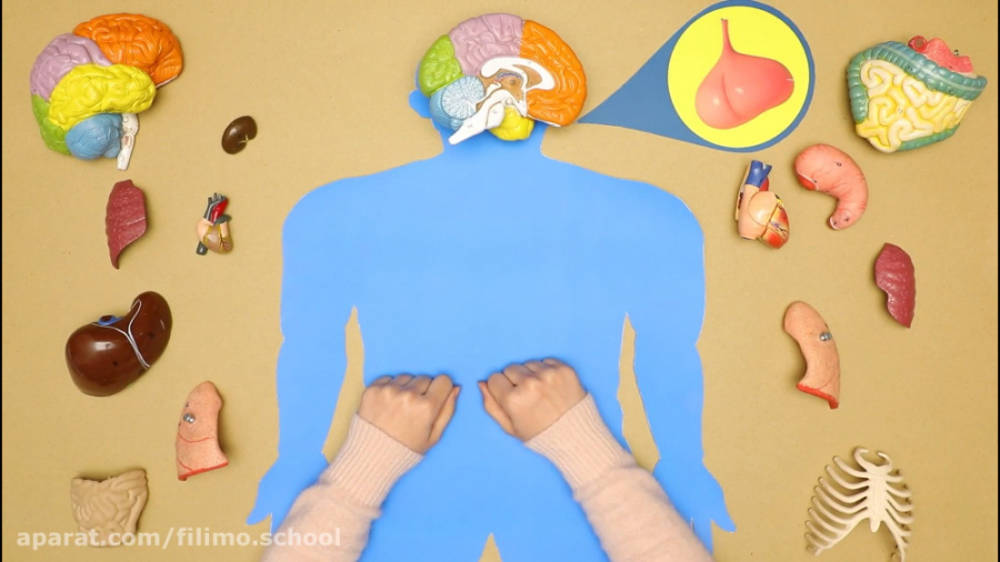 با فیلیمو‌مدرسه، با خیال راحت...