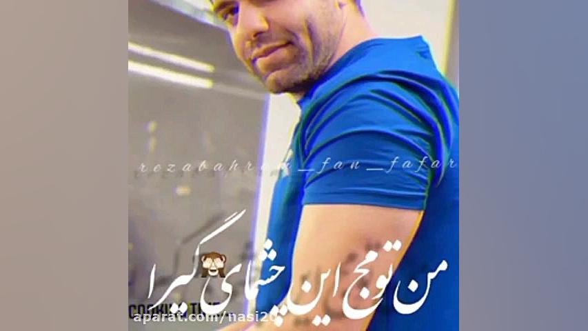 کلیپ برد استقلال  آهنگ برد است...