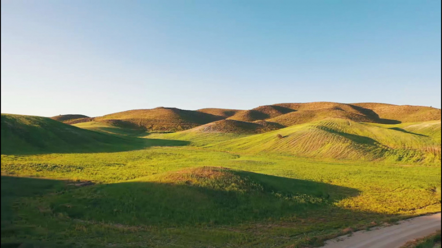 فروش باغ شهری شیراز