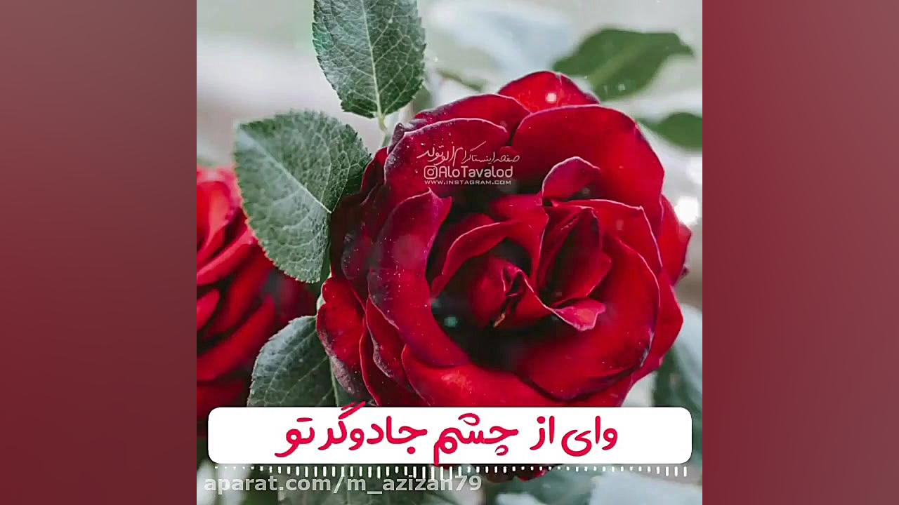 کلیپ تولدت مبارک  آهنگ شاد تول...