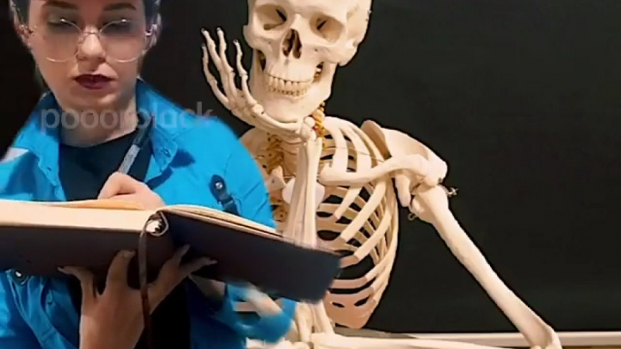 کلیپ طنز پریسا پور بلک