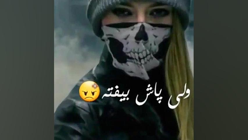 من شاخ نیسام