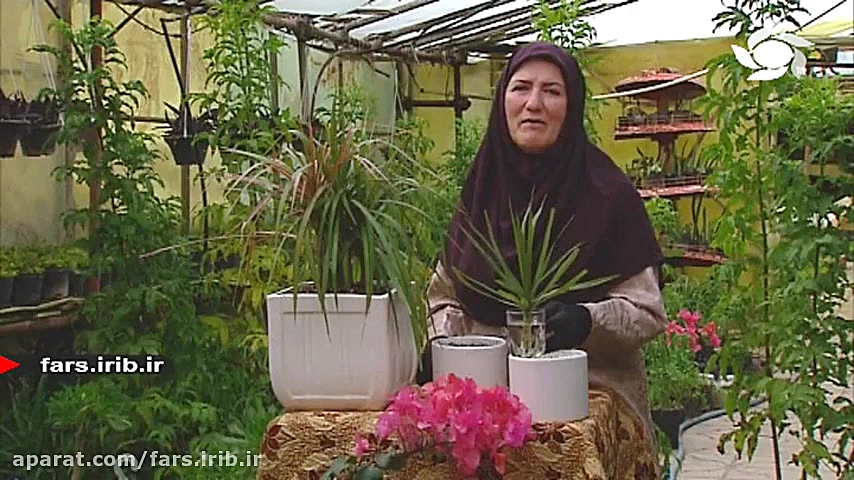 آموزش نگهداری و پرورش &quot; گ...