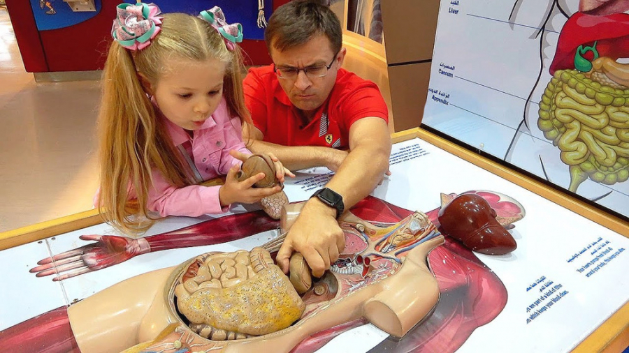 دیانا شو  دیانا و روما  تفریح...