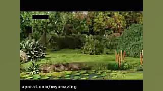 دانلود کارتون برای کودک | کارت...