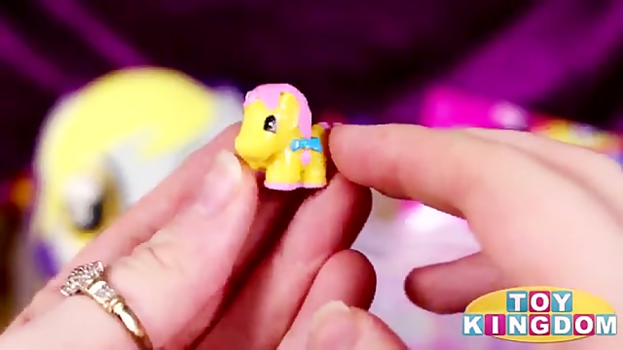 تخم مرغ شانسی پونی