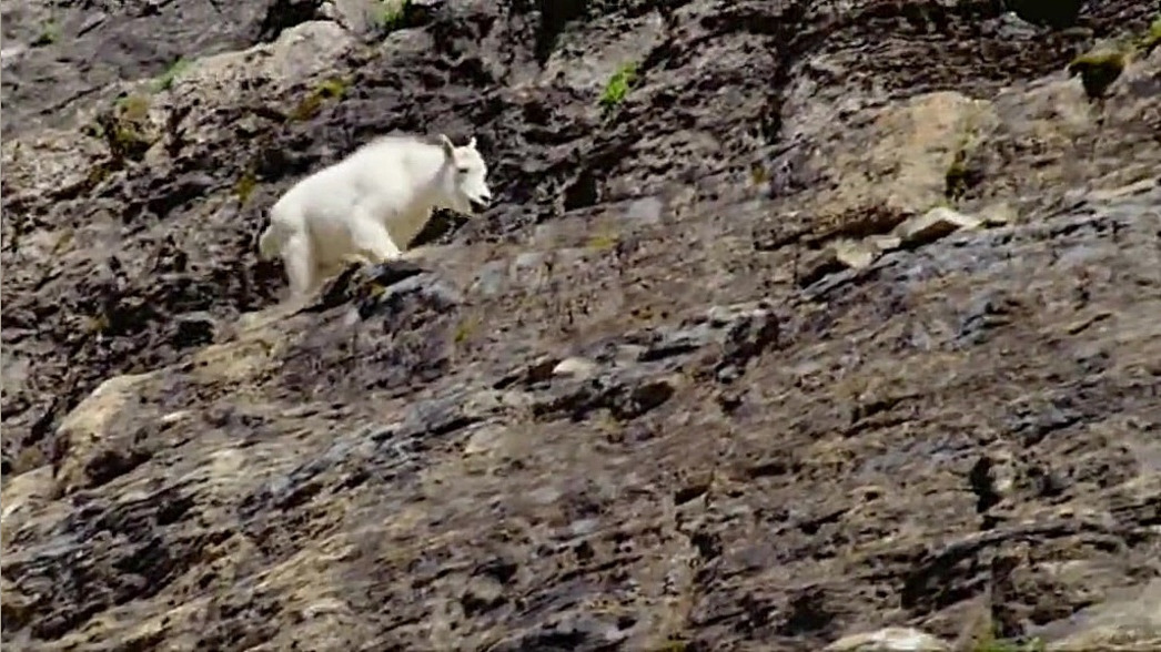 مستند آمریکای شمالی با دوبله ف...