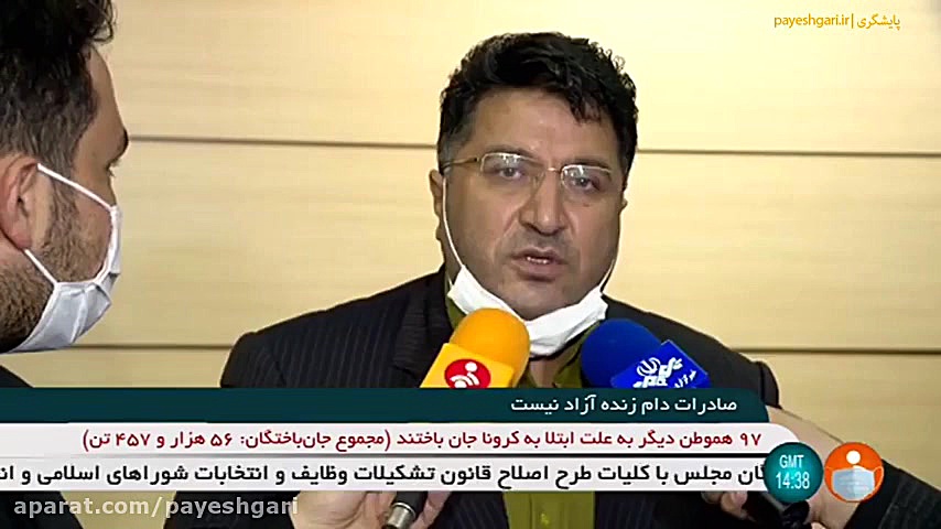 صادرات دام زنده آزاد نیست