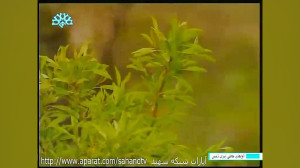آوای سرزمین من ایران ، موسیقی...