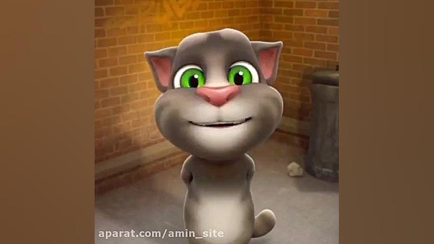 پیشی و فضای مجازی