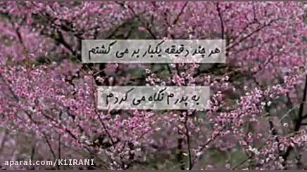 آمادی برای ظهور امام زمان (عج)