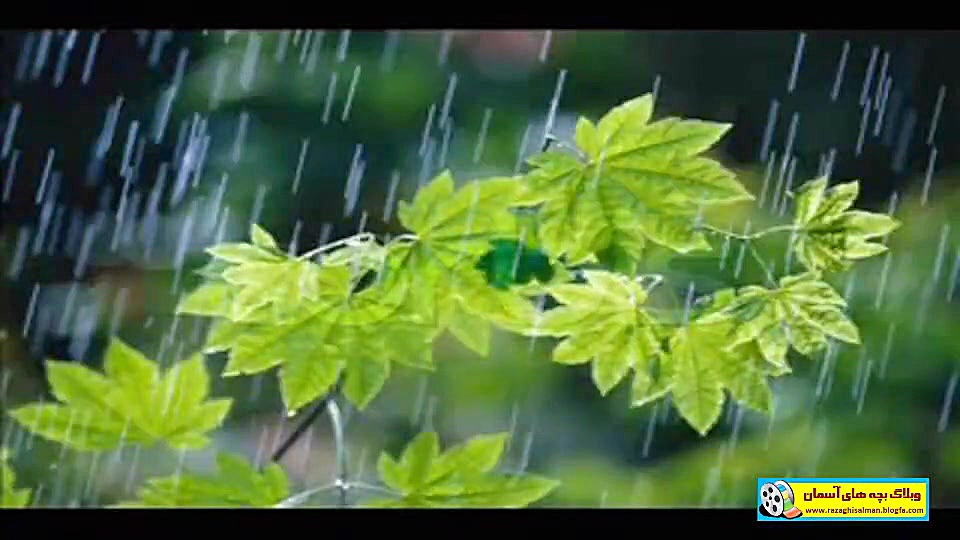 نماهنگ &quot;باز باران با تران...