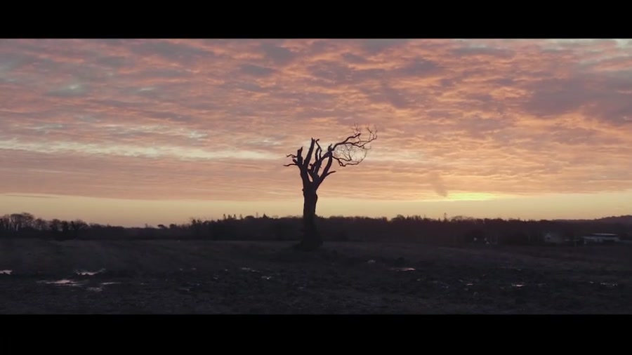 دانلود آهنگ زیبا