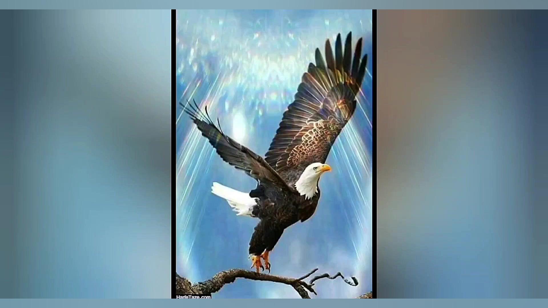 نیایش، کار زیبا دانش آموز کاوه...