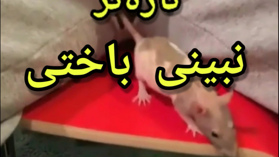 طنز جدید خنده دار ایرانی،صداگذ...