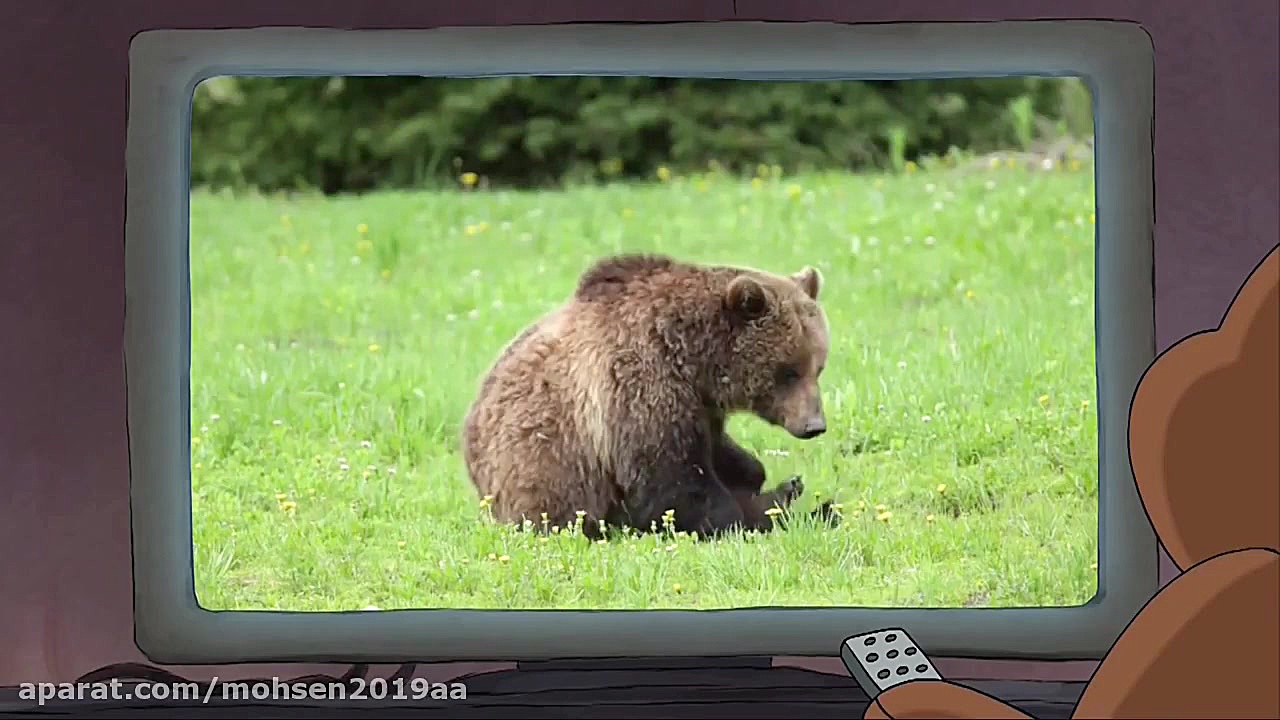 کارتون خرس های کله فندقی قسمت...