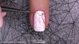 گردآوری هنری جدید ناخن ها  ترف...