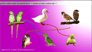 فارسی درس سوم هم خانواده