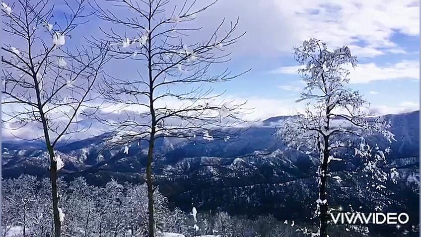 برف شهرک چوبی امام زاده اسحاق...