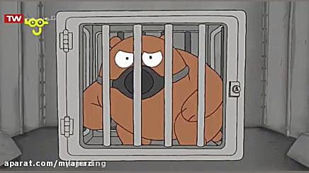 خرس های خنگول جدید | کارتون خر...