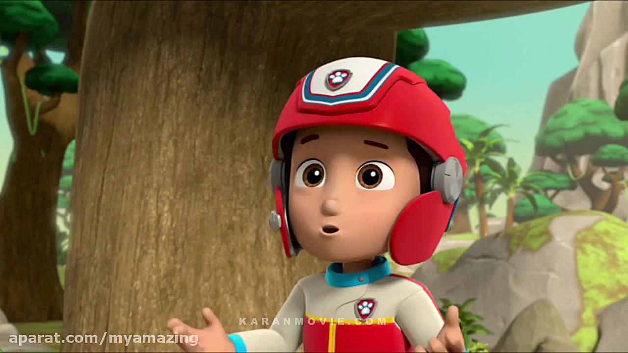 سگهای نگهبان | کارتون سگهای نگ...