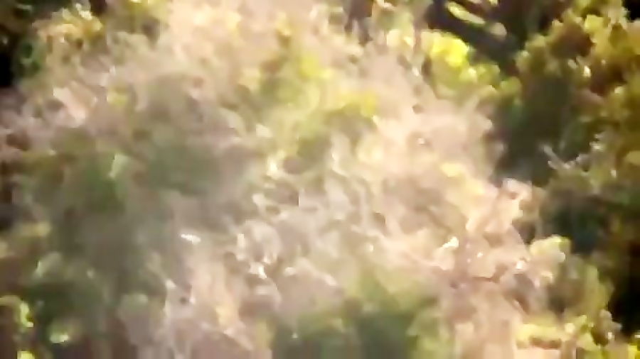 شکار از فاصله چند هزار متر