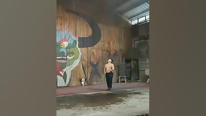 نتیجه دیوونه بازی (فیلم خنده د...