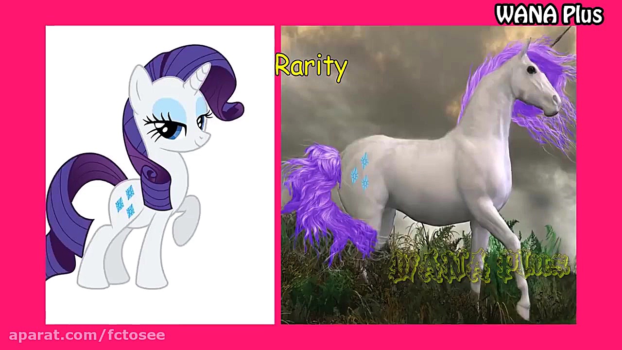 My Little Pony | شخصیت های پون...