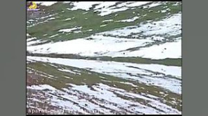 ترانه زیبای لری از محمد قهرمان...