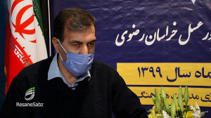 زنبور عسل  تلاش سبز