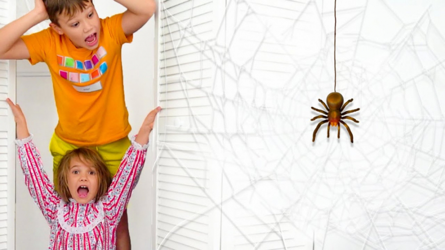 مکس به اتاق کتی می رود