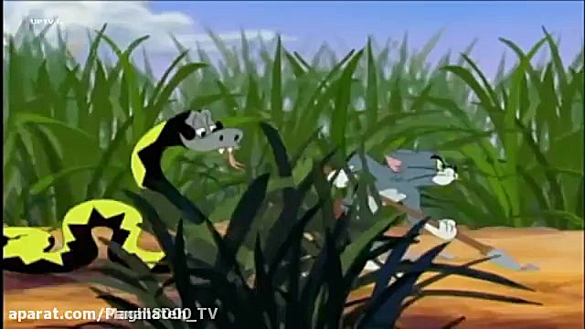 کارتون جذاب تام وجری