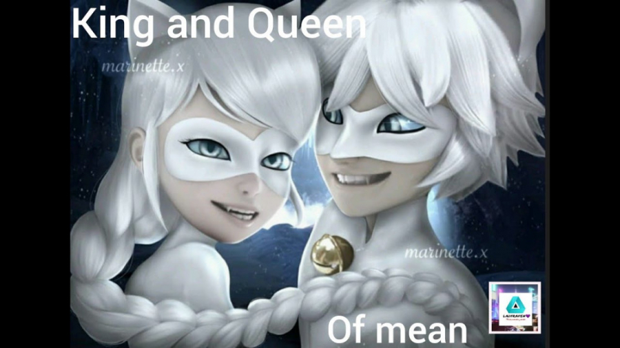 میکس میراکلس   لیدی باگ^کتنوار