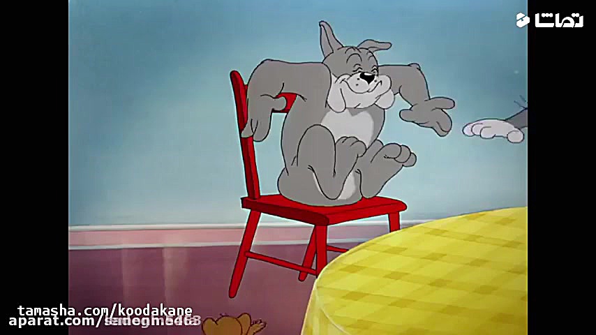 برنامه کودک تام و جری