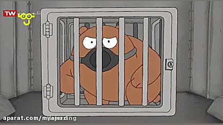 خرس های خنگول جدید کارتون خرس...