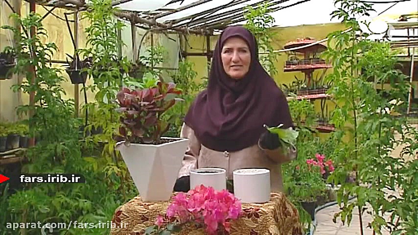 آموزش پرورش و نگهداری &quot; گ...