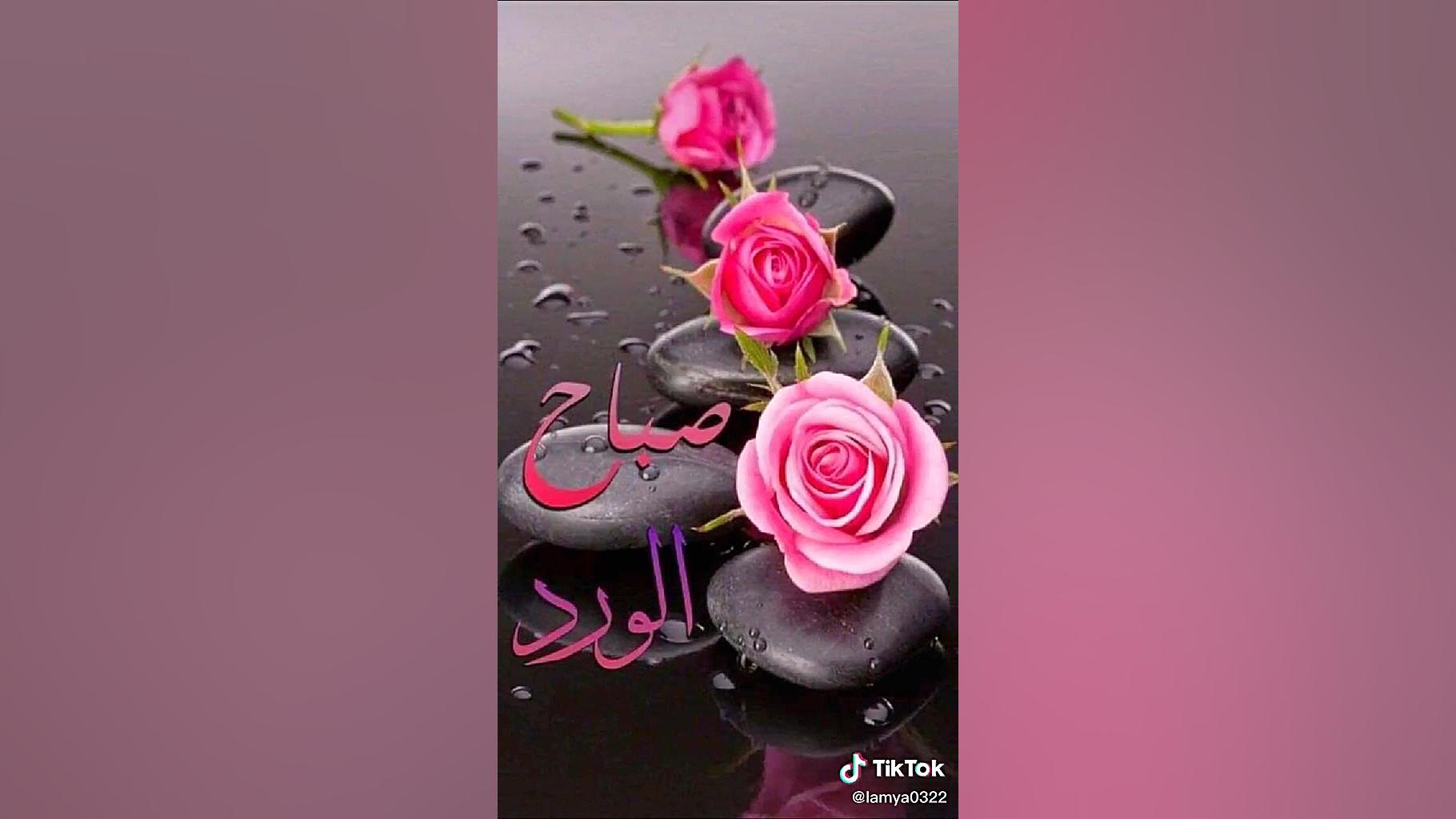 اهنگ شاد صبحونه عاشقانه