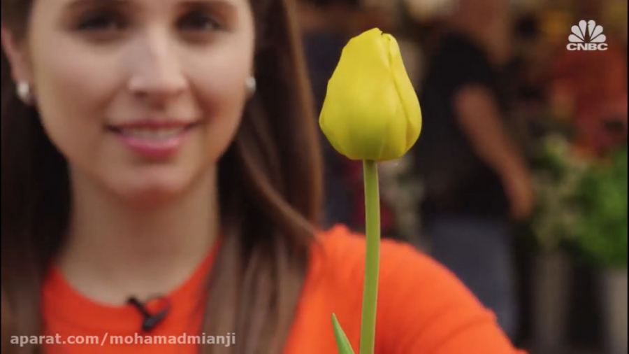 حباب قیمت ها چیست؟