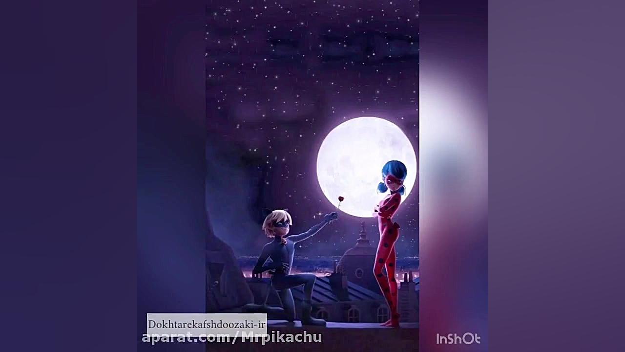 لیدی باگ و کت نوار جدید دختر ک...