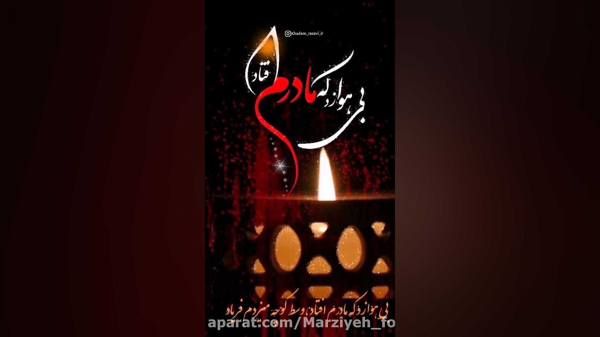 دنبال حیدر میدوید