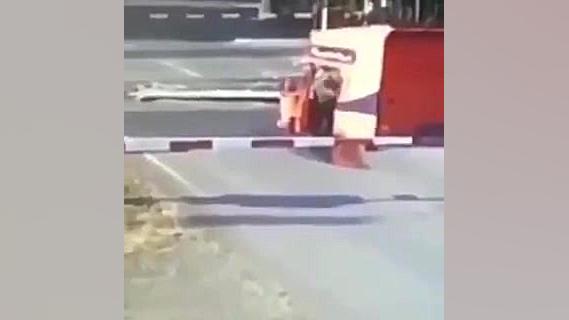 آدم خوش شانش